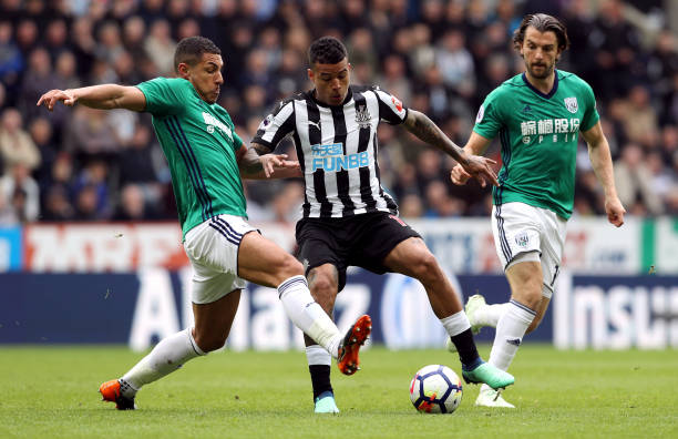 跑组成的极 跑组成的极